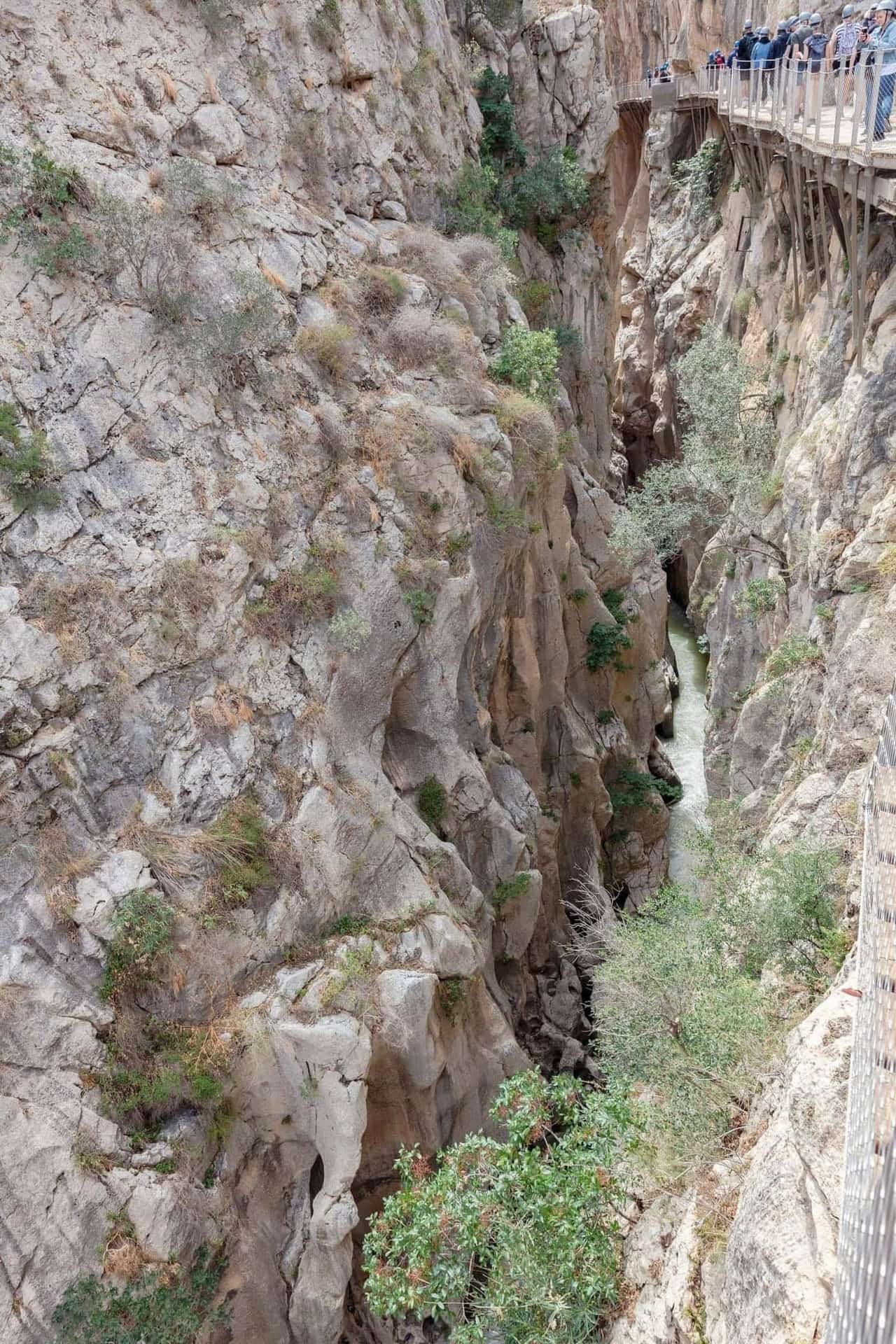 Caminito del Rey walkway above the gorge — gateway to Andalusia from Malaga cruise port